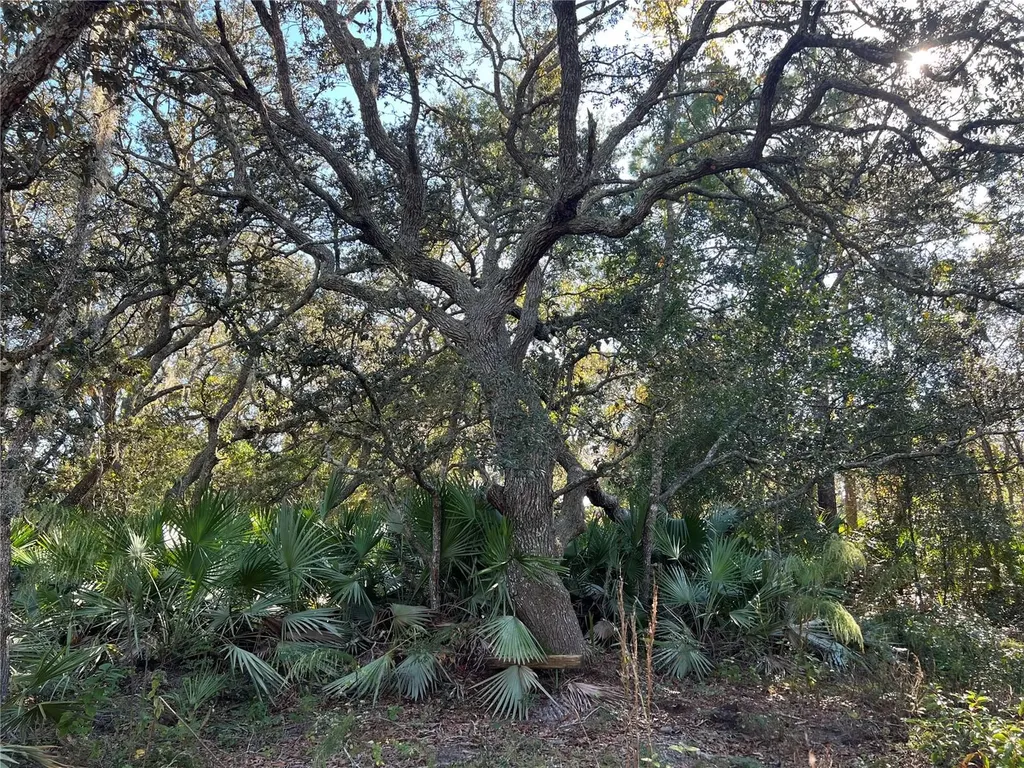 Sunrise Boulevard Mount Dora FL 32757