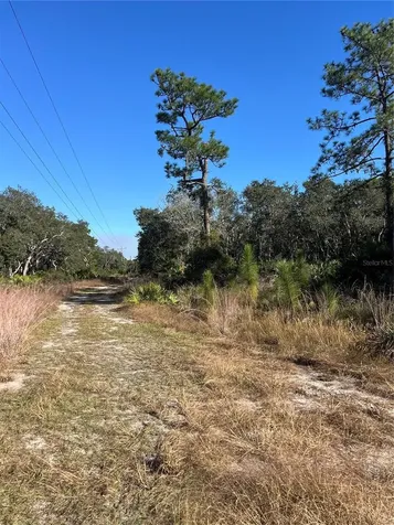Sunrise Boulevard Mount Dora FL 32757