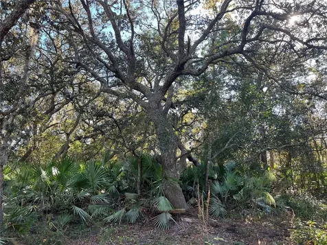 Sunrise Boulevard Mount Dora FL 32757