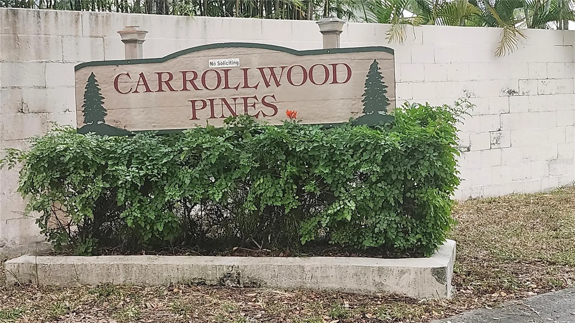 11710 Wesson Circle W Tampa FL 33618