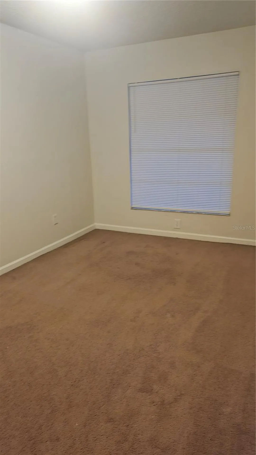 11710 Wesson Circle W Tampa FL 33618