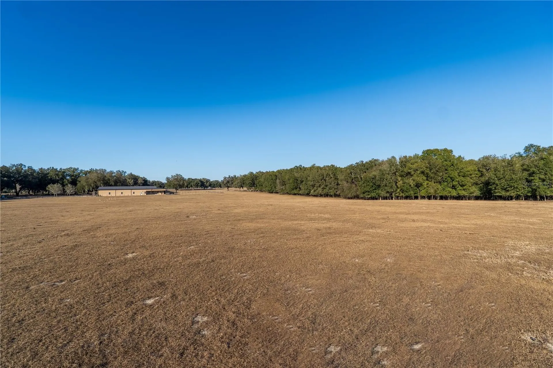 2051 SE 155th Street Summerfield FL 34491