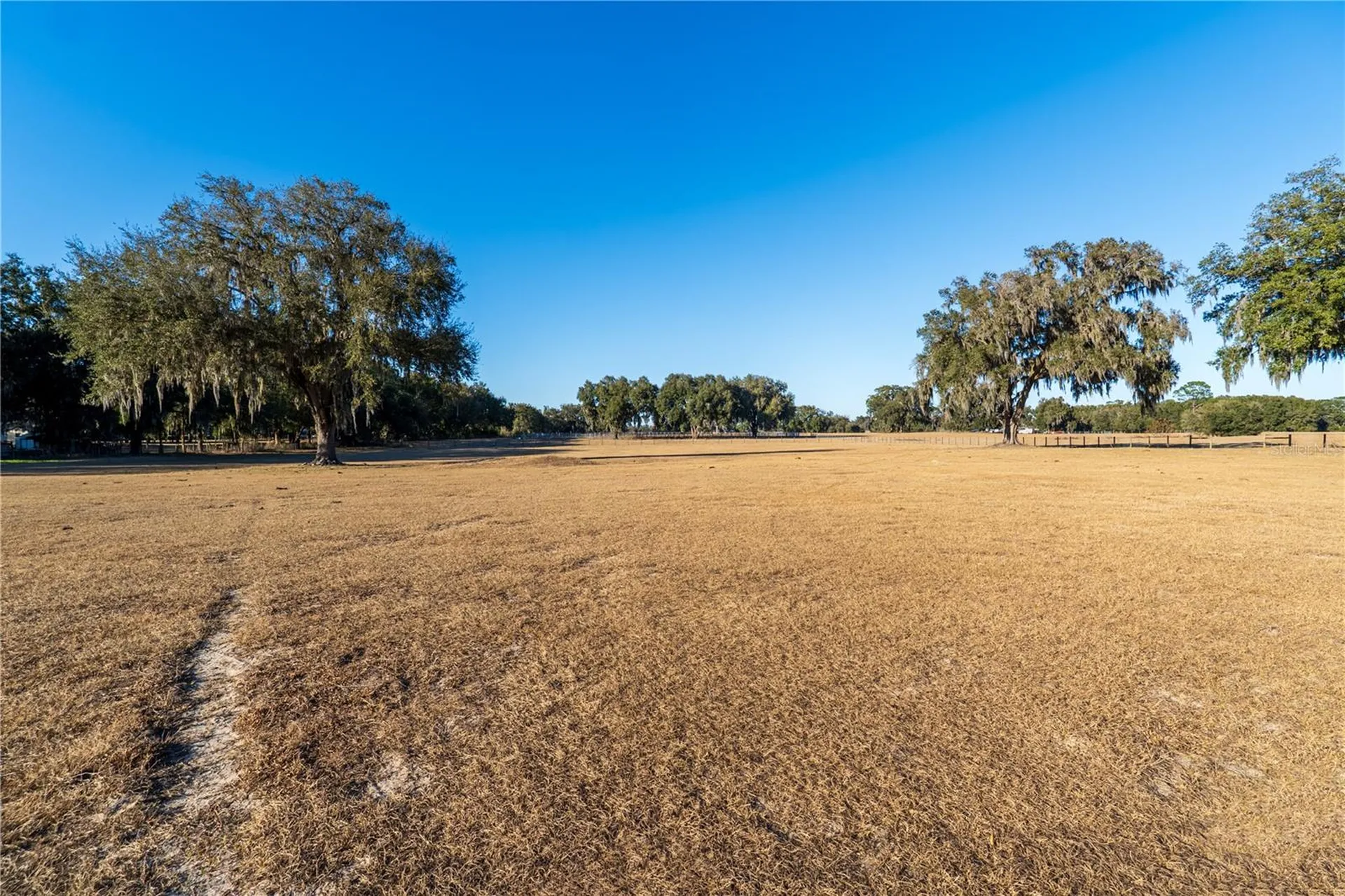 2051 SE 155th Street Summerfield FL 34491