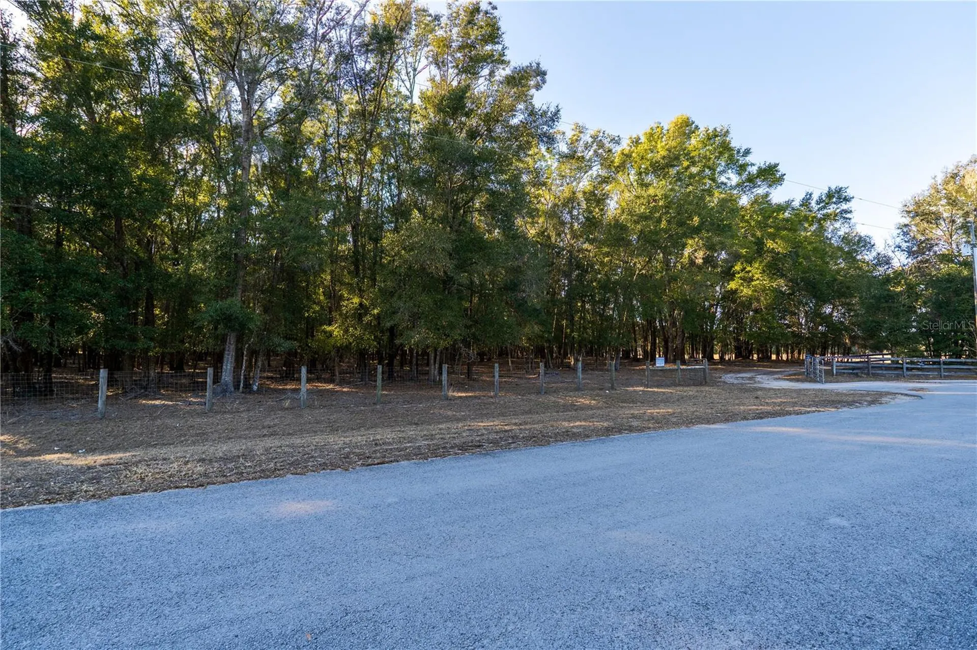 2051 SE 155th Street Summerfield FL 34491