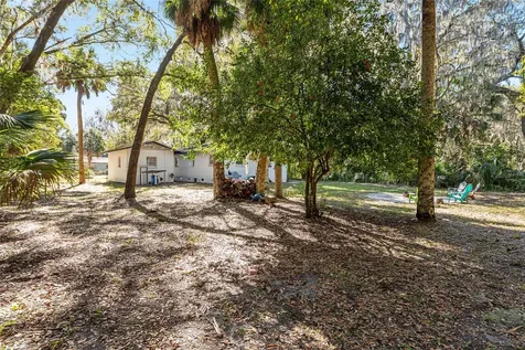 5901 NW 214th Lane Micanopy FL 32667