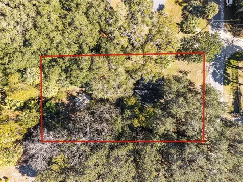 5901 NW 214th Lane Micanopy FL 32667