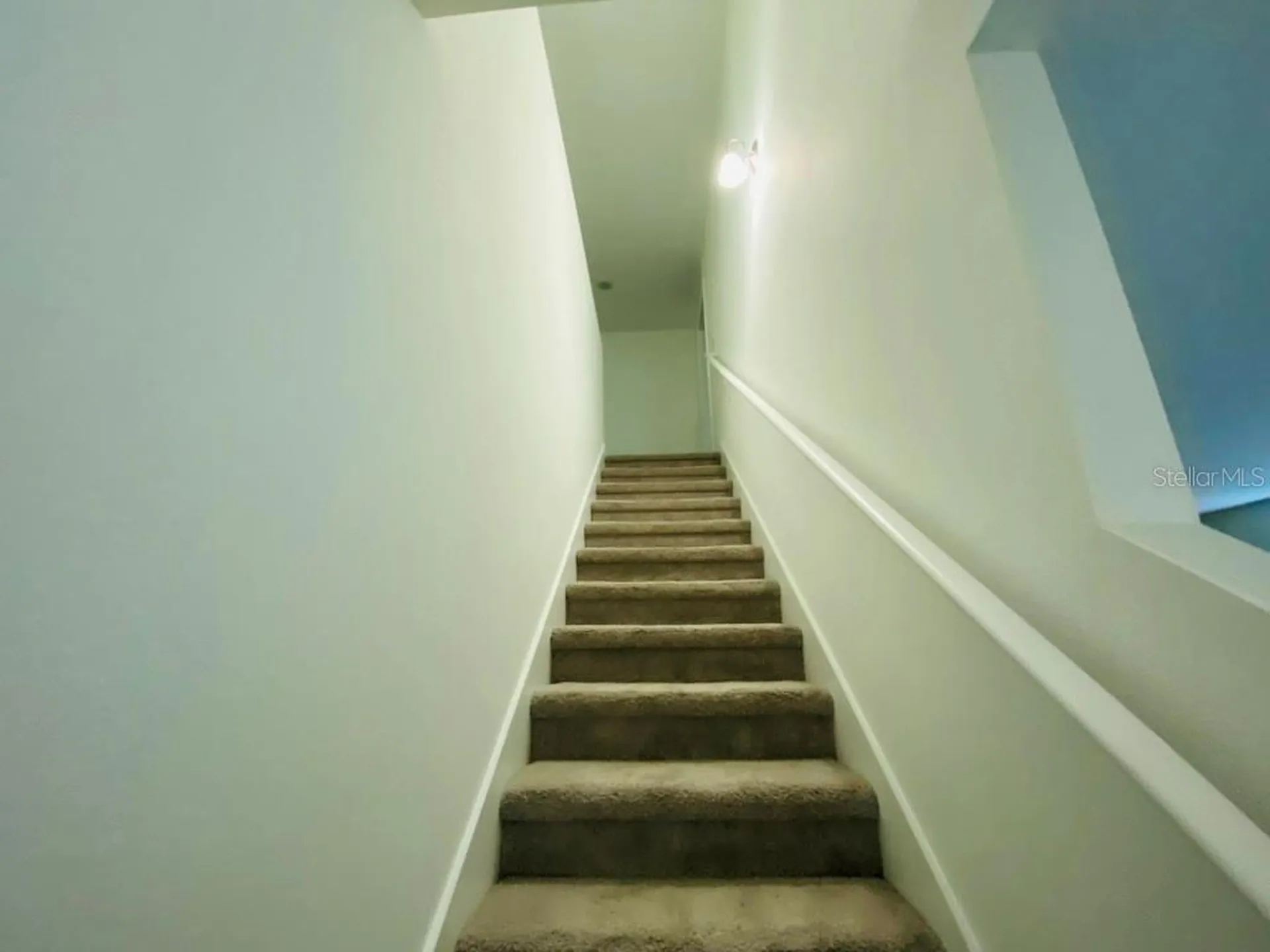 35409 White Water Lily Way Zephyrhills FL 33541