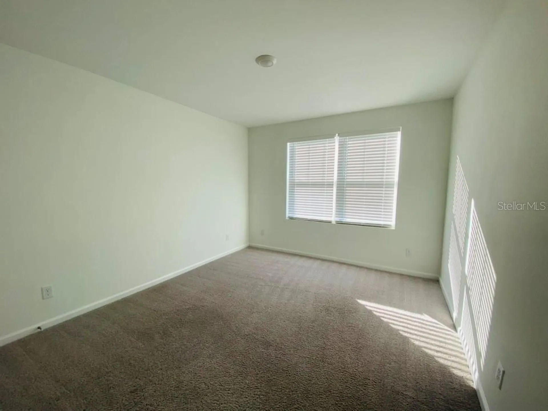 35409 White Water Lily Way Zephyrhills FL 33541