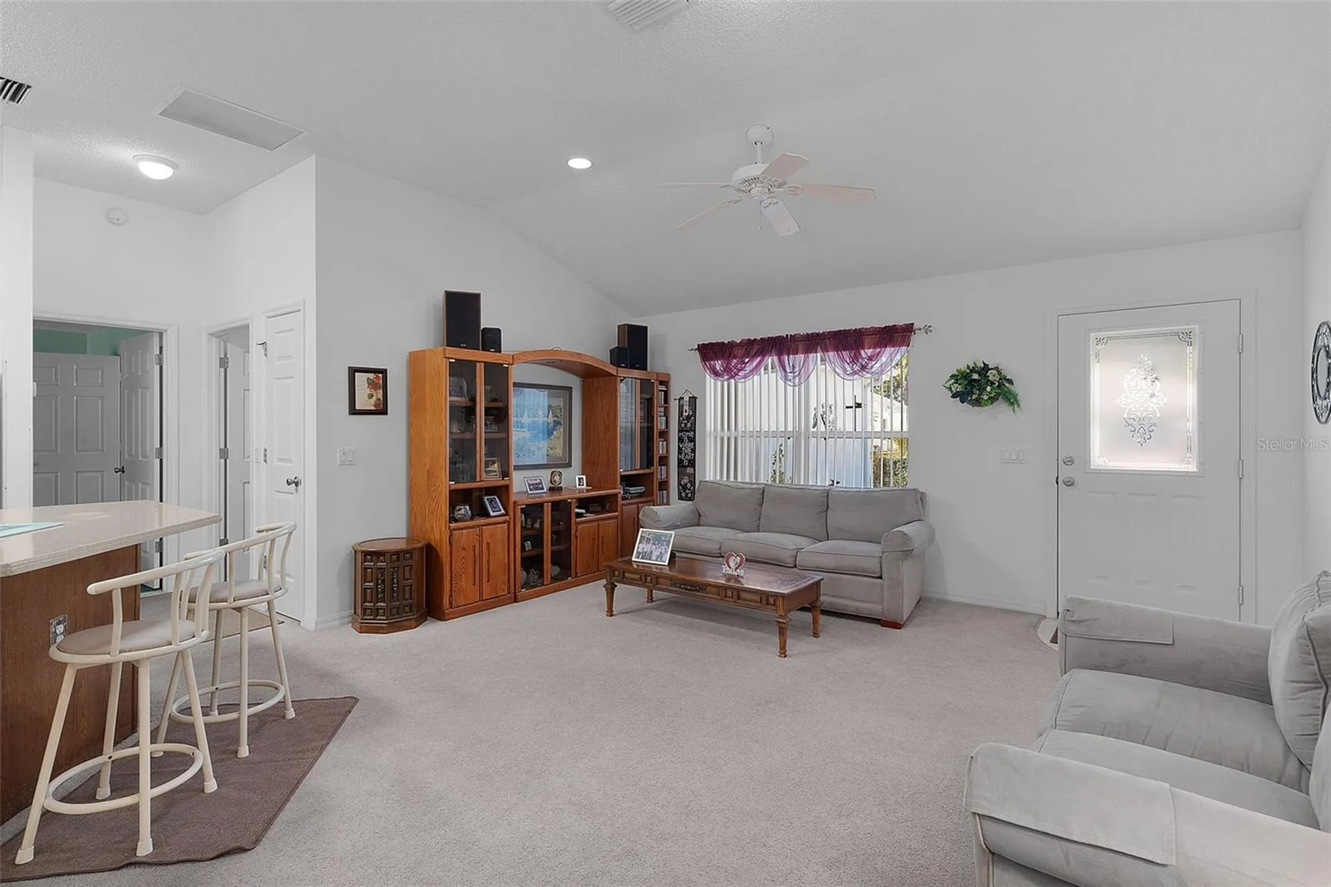 1115 Salido Avenue The Villages FL 32159