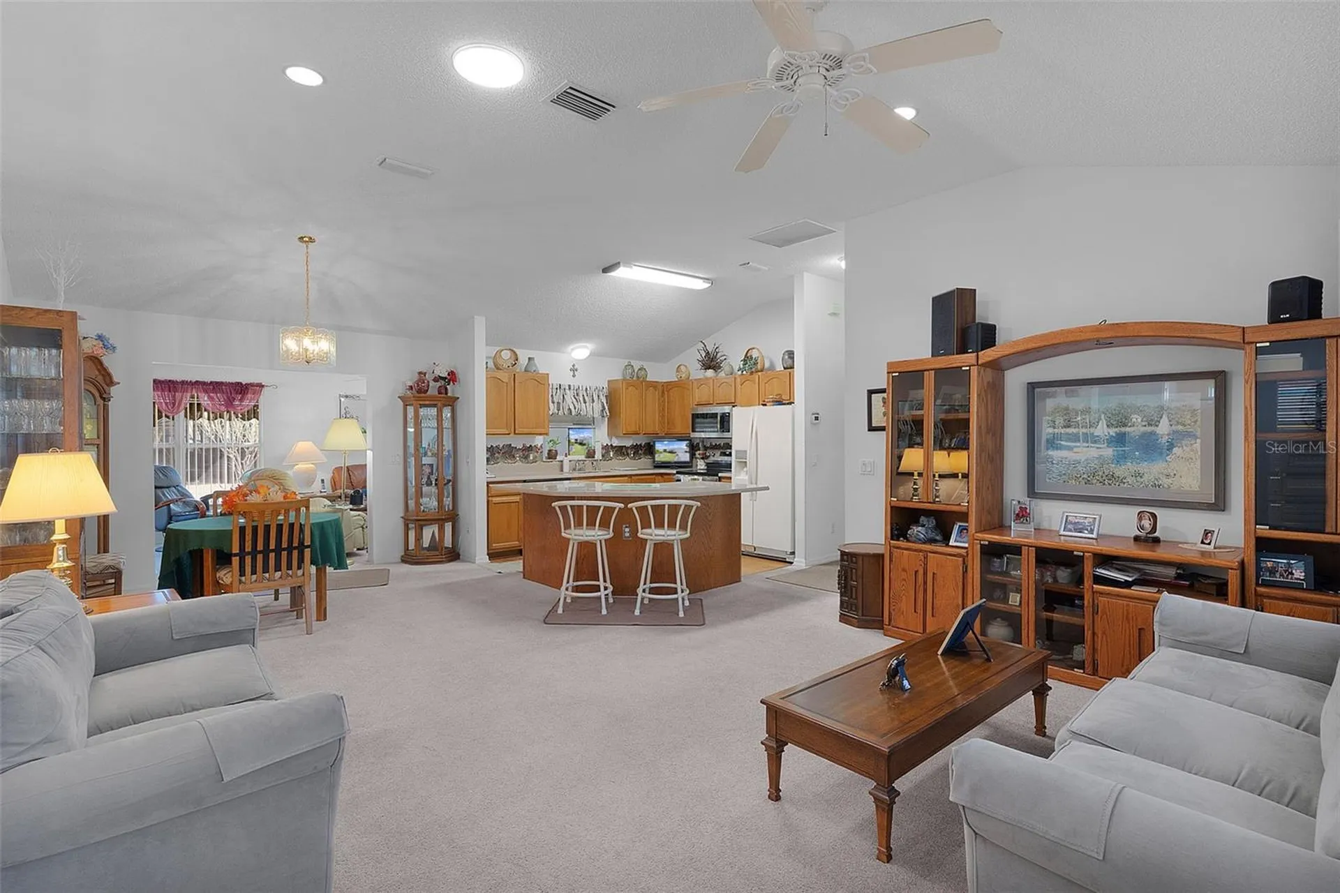 1115 Salido Avenue The Villages FL 32159