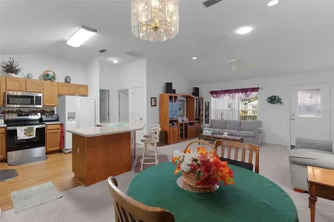 1115 Salido Avenue The Villages FL 32159