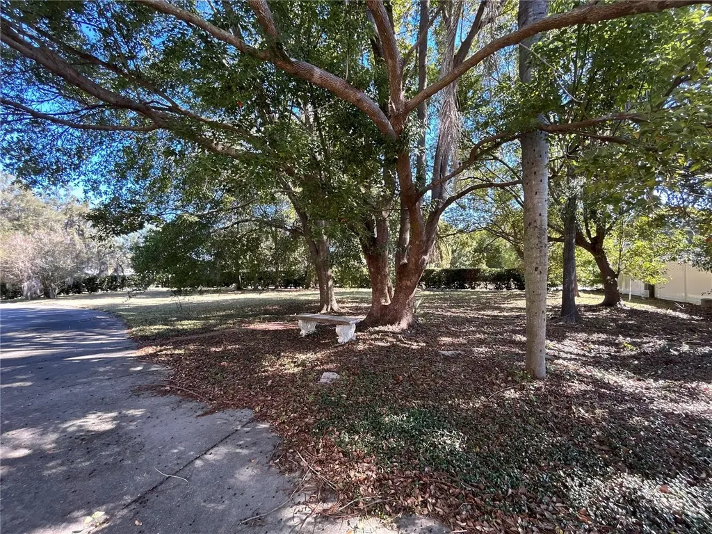 1105 Herndon Street Leesburg FL 34748