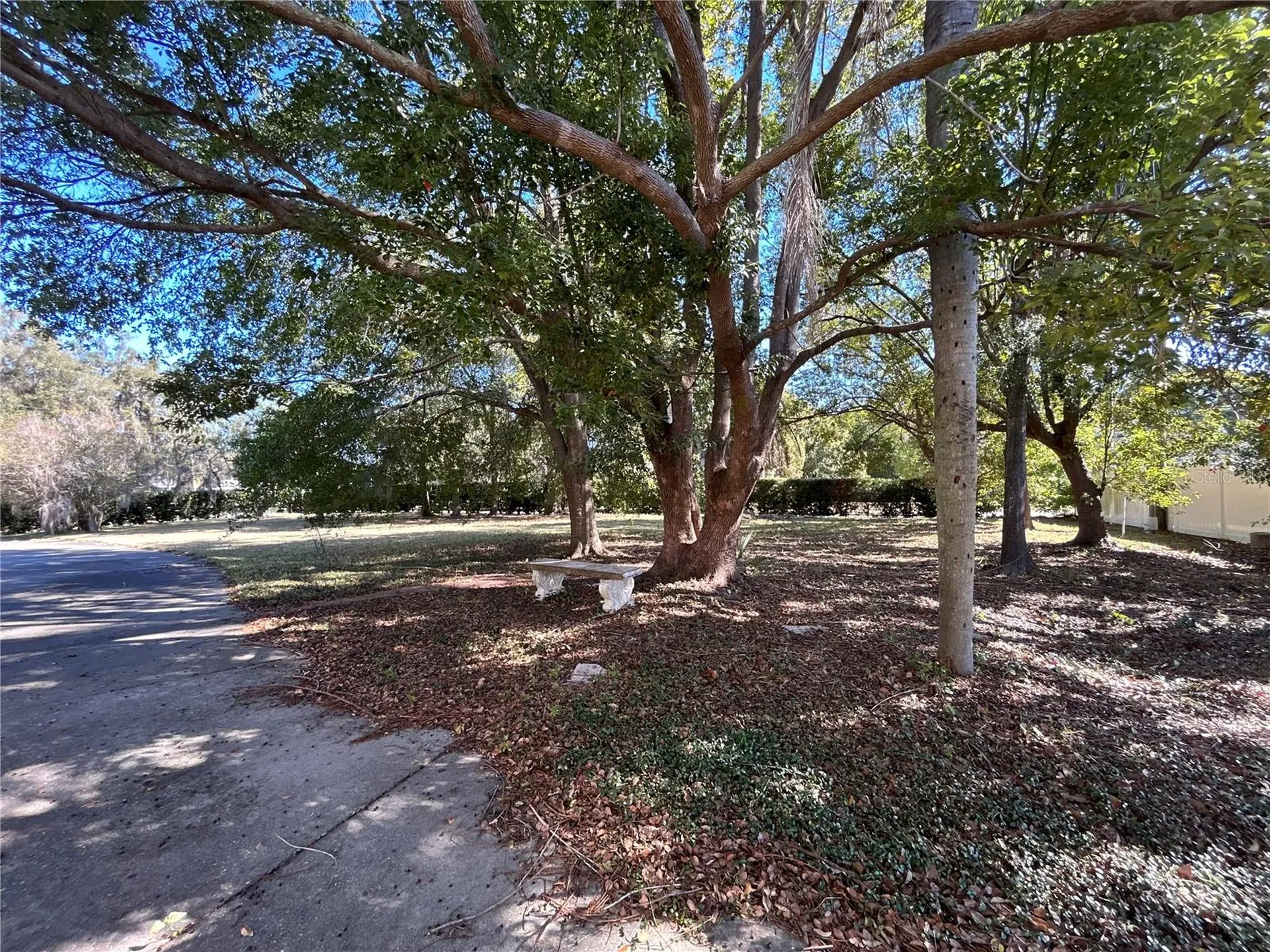 1105 Herndon Street Leesburg FL 34748