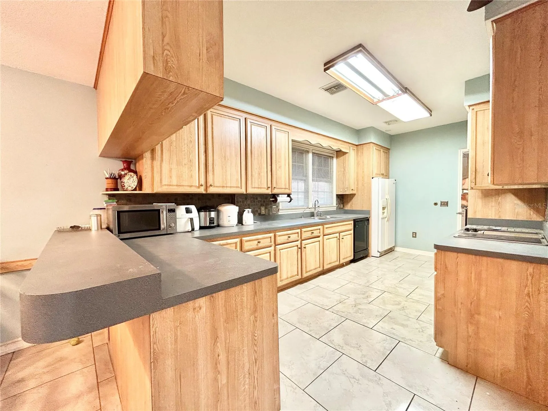 1105 Herndon Street Leesburg FL 34748