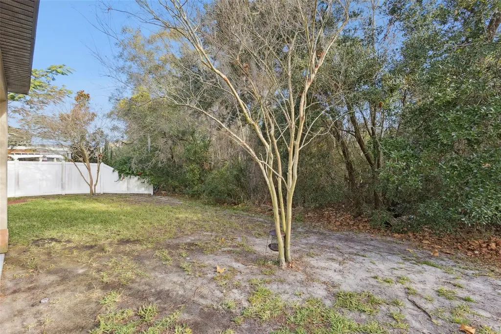 8816 Shady Pavillion Court Land O Lakes FL 34637
