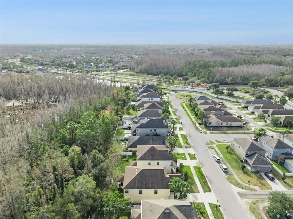 8816 Shady Pavillion Court Land O Lakes FL 34637