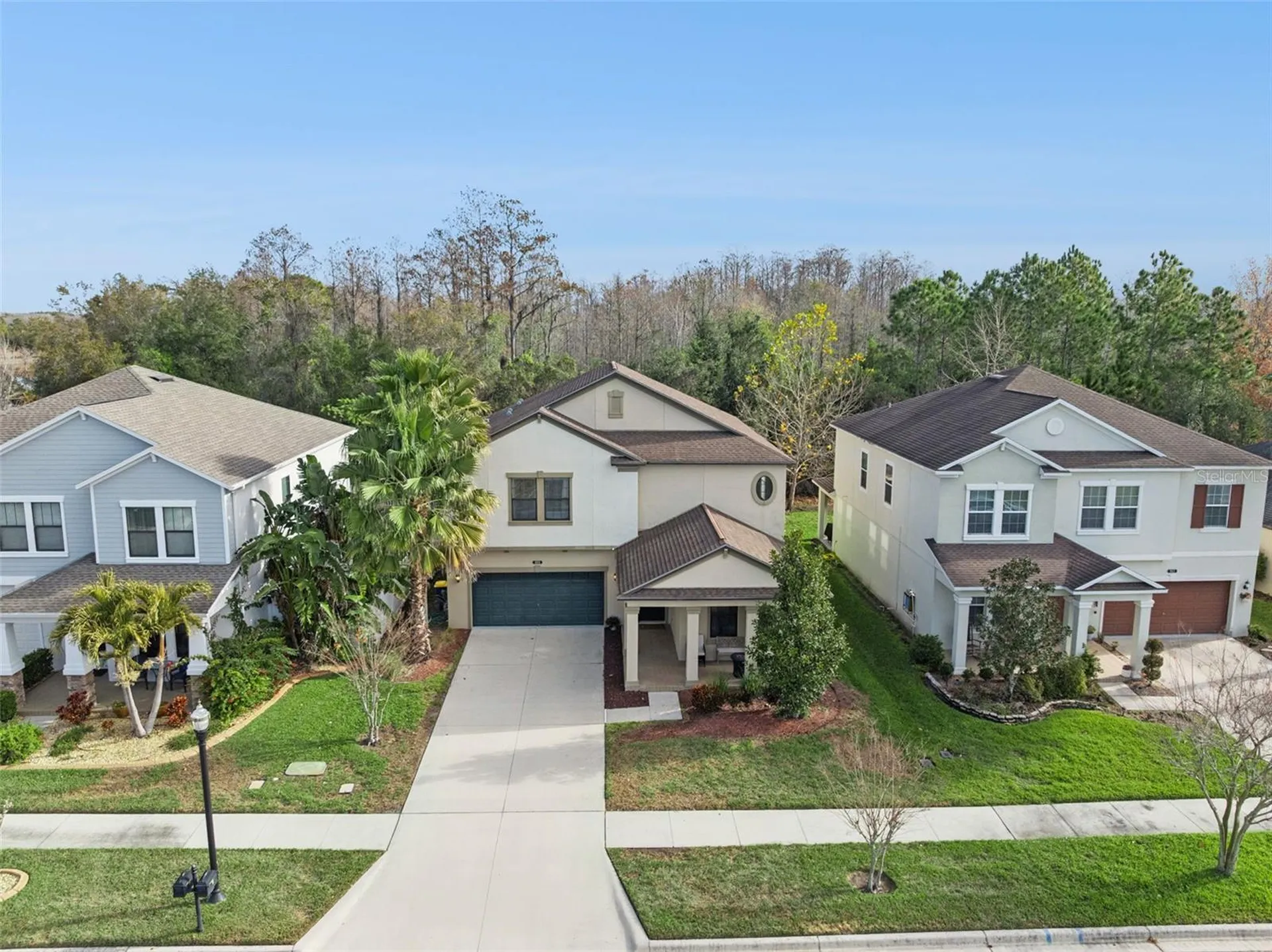 8816 Shady Pavillion Court Land O Lakes FL 34637
