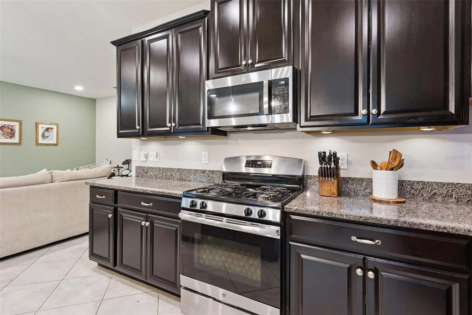 8816 Shady Pavillion Court Land O Lakes FL 34637