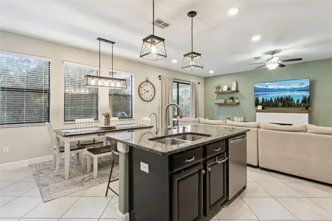 8816 Shady Pavillion Court Land O Lakes FL 34637