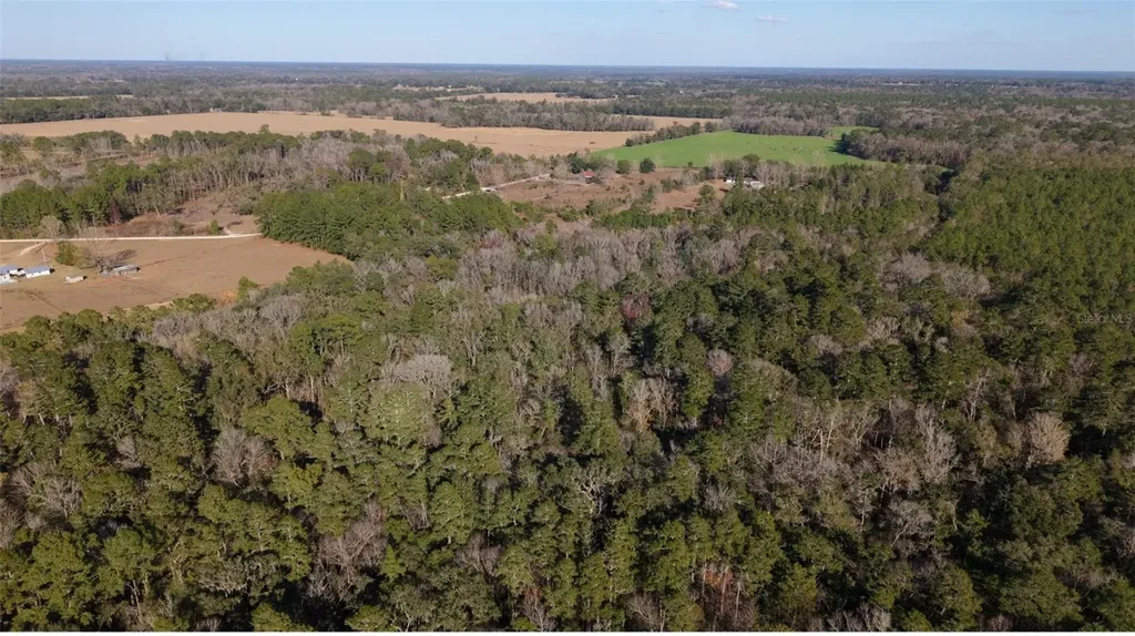 14403 NW 258th Place Alachua FL 32615