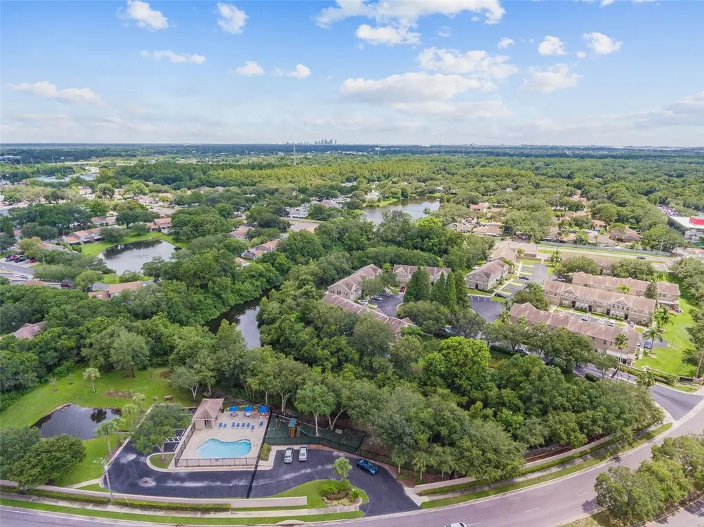 4321 Deermont Circle Tampa FL 33624