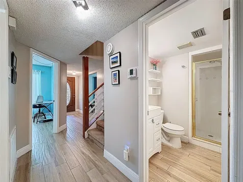 7923 Singing Court Place Tampa FL 33615