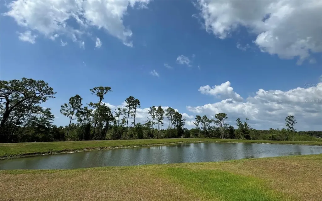 8922 Little Bluestem Drive Land O Lakes FL 34637