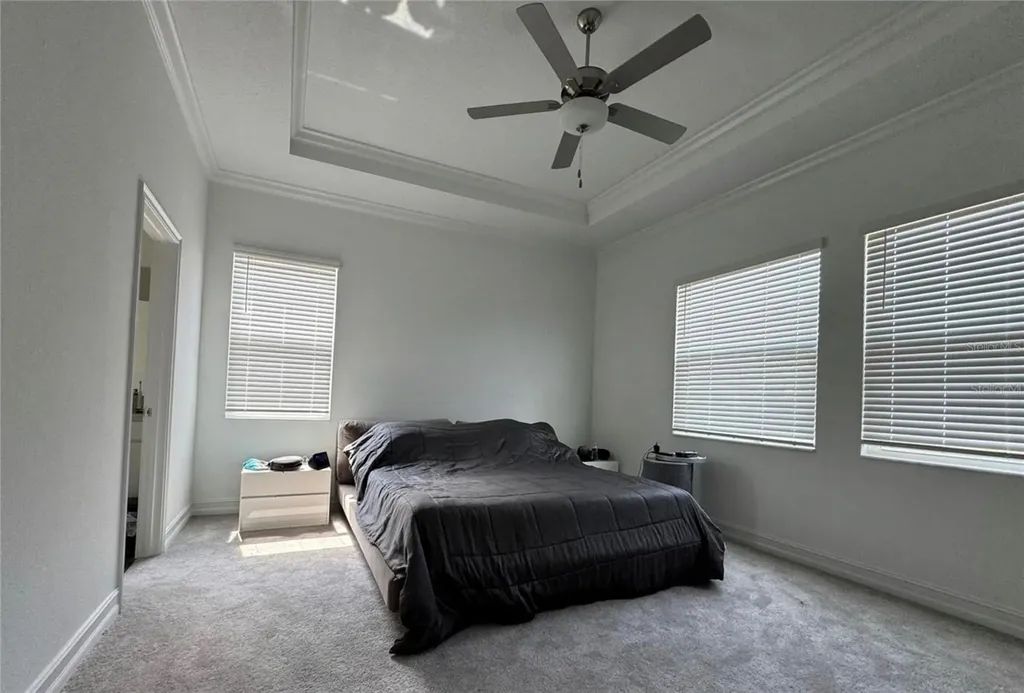 8922 Little Bluestem Drive Land O Lakes FL 34637