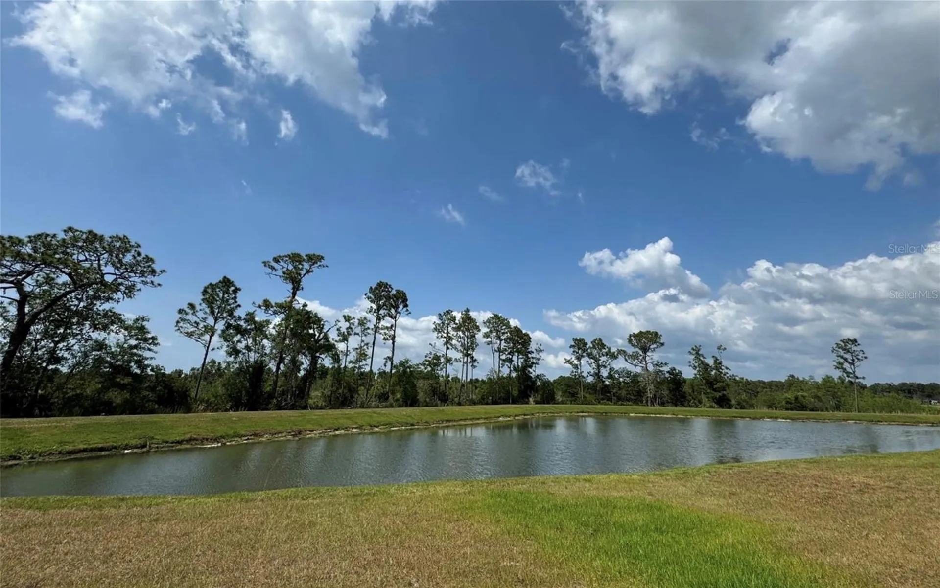 8922 Little Bluestem Drive Land O Lakes FL 34637