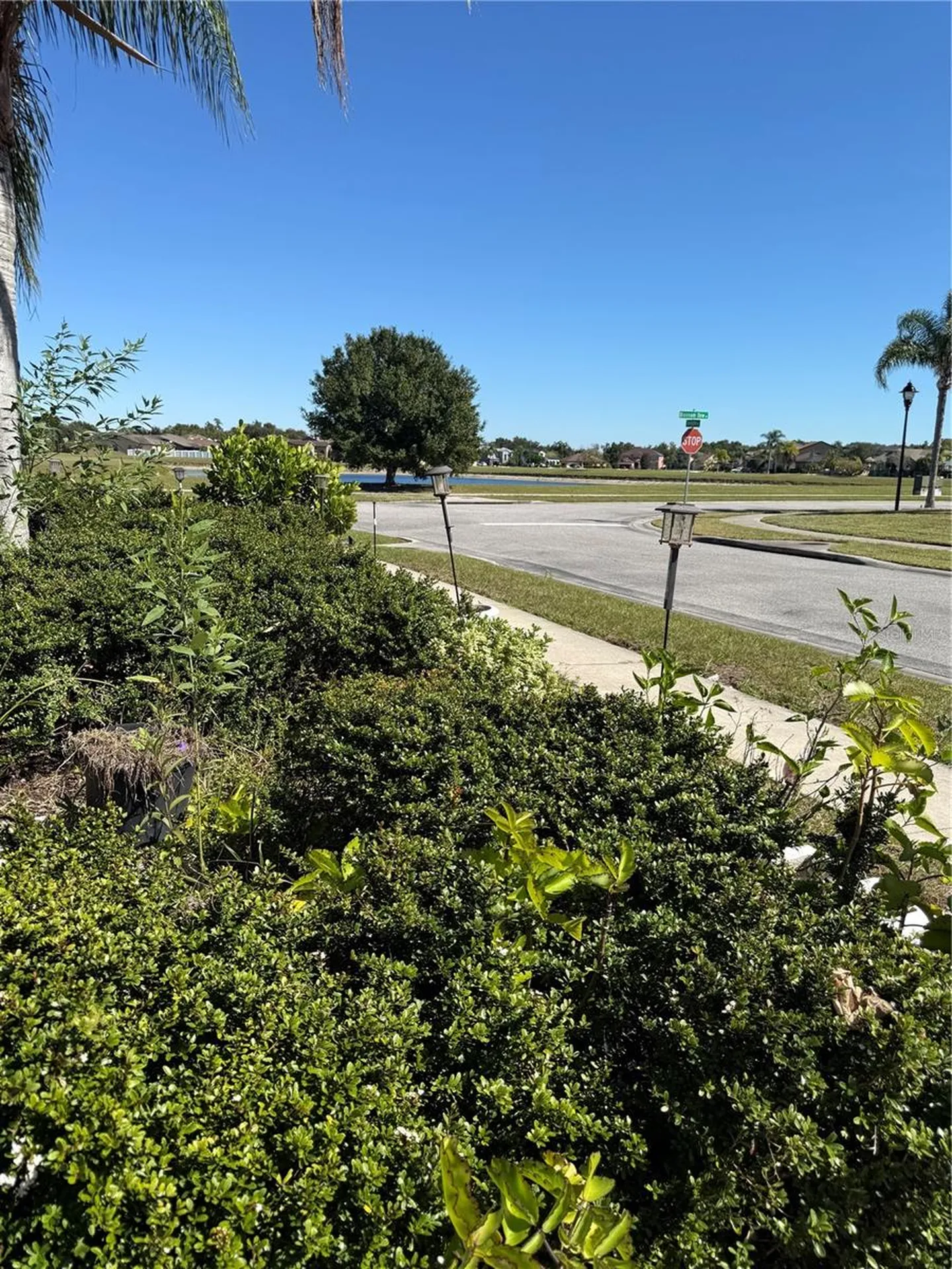 3101 Swingle Drive Kissimmee FL 34746