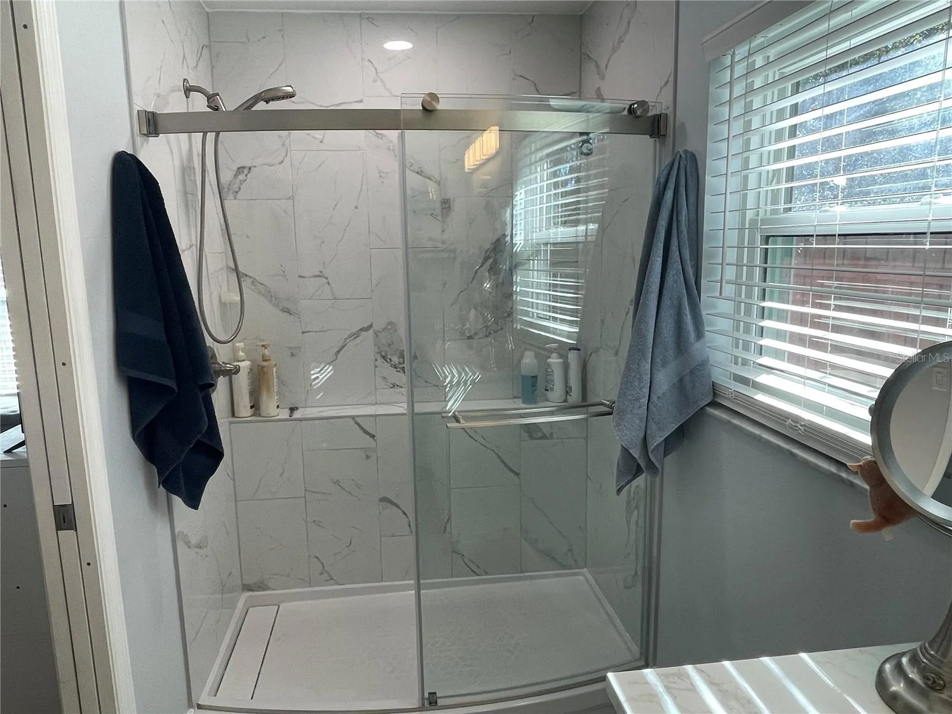 4382 SW 171st Place Ocala FL 34473