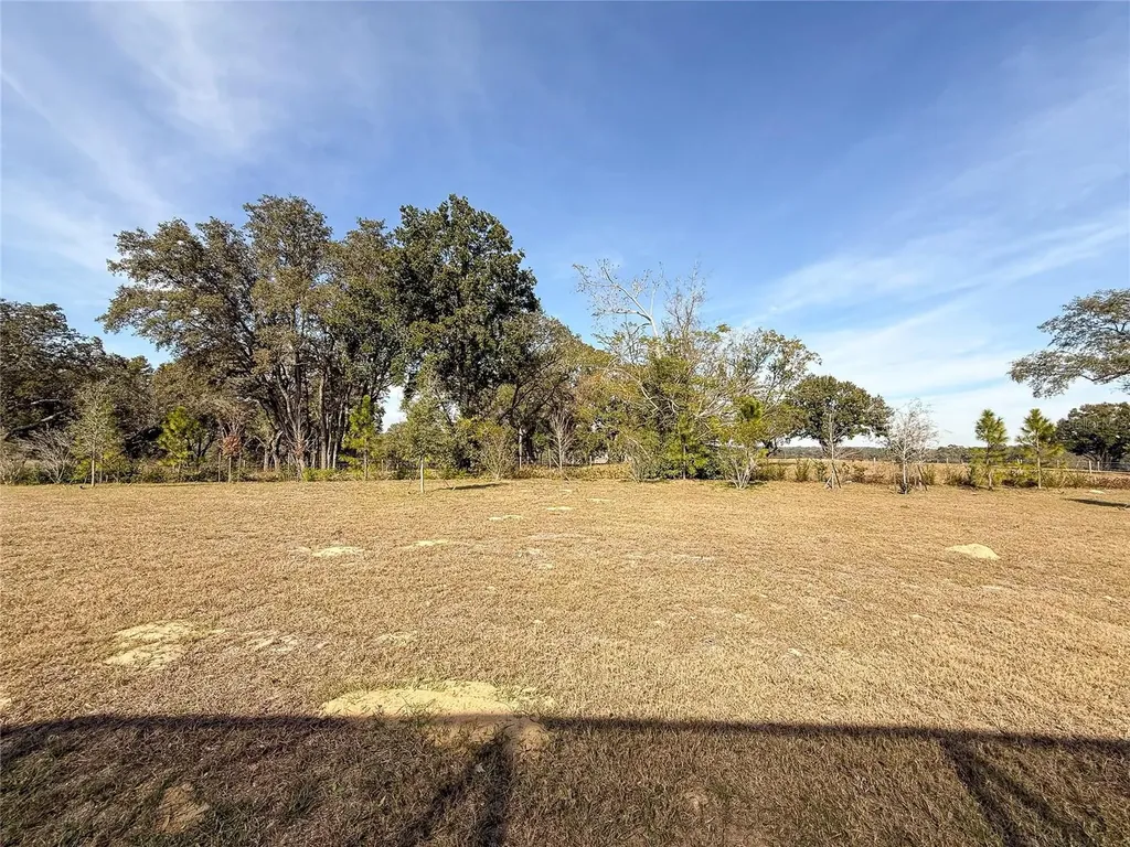 2260 Juniper Berry Drive Minneola FL 34715