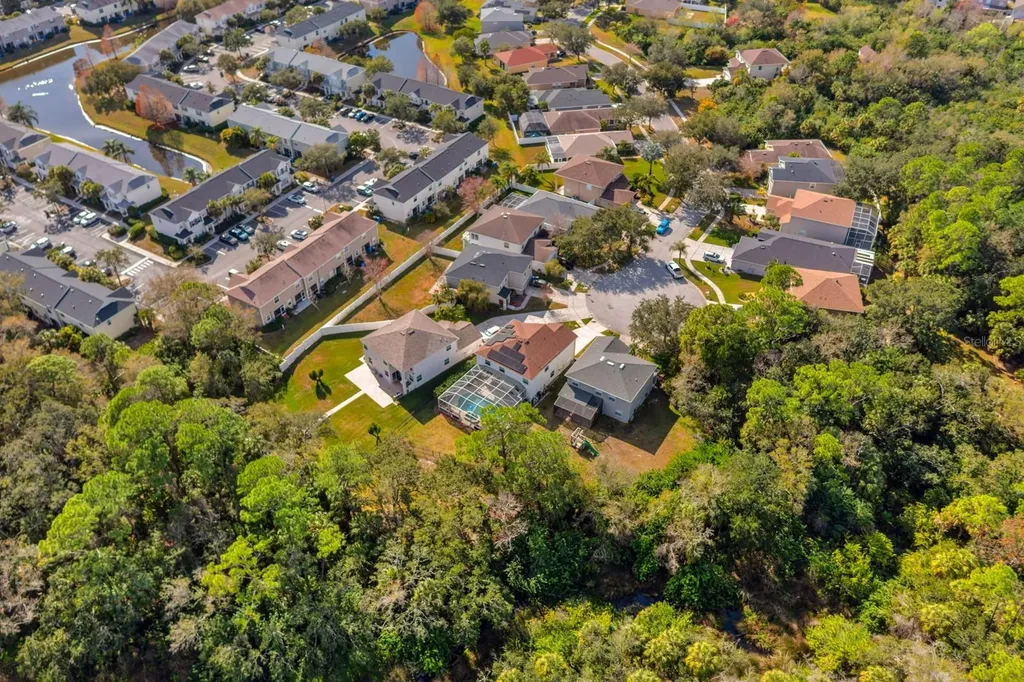 12402 Rustic View Court Tampa FL 33635