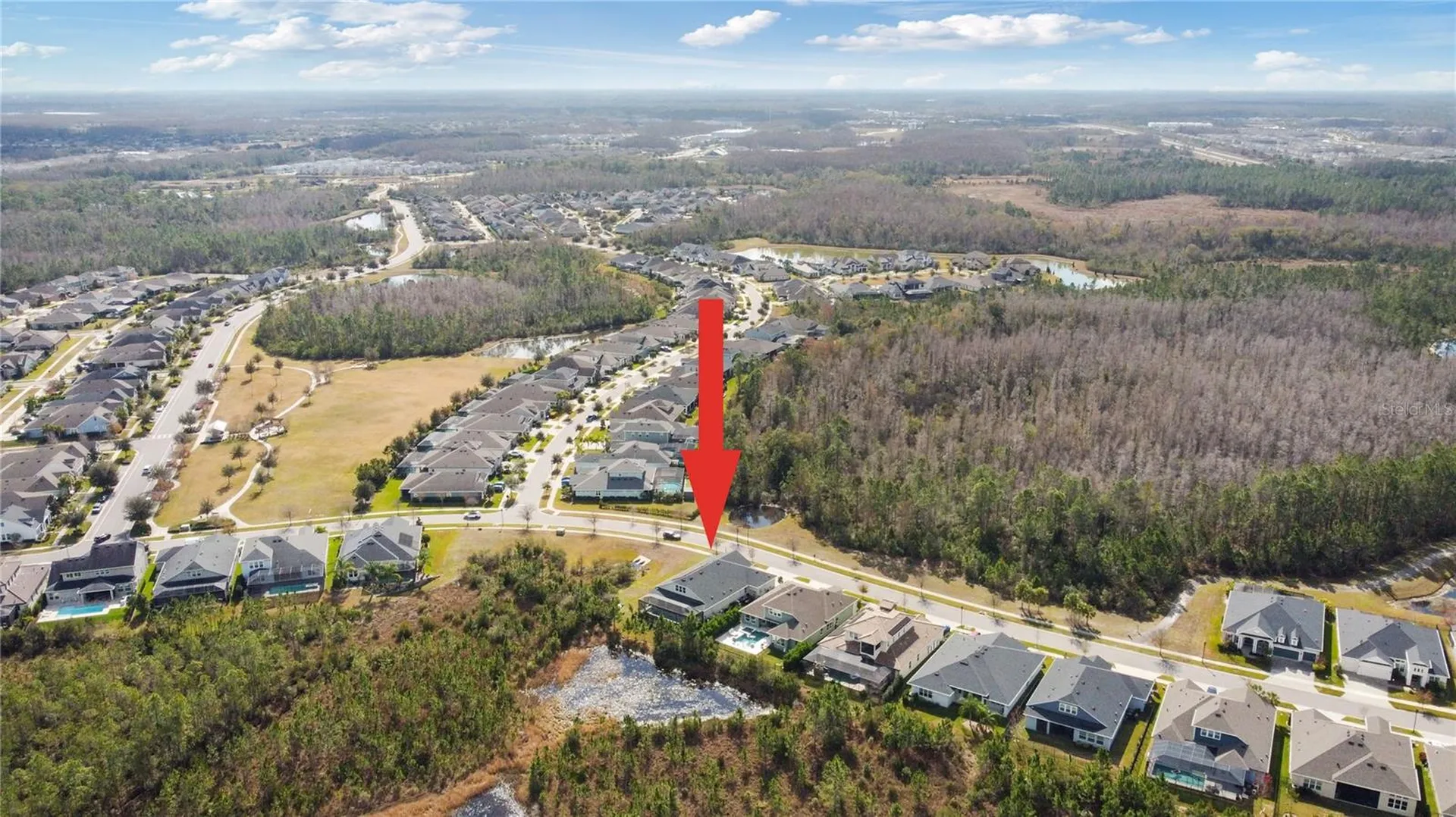 4289 Tour Trace Land O Lakes FL 34638