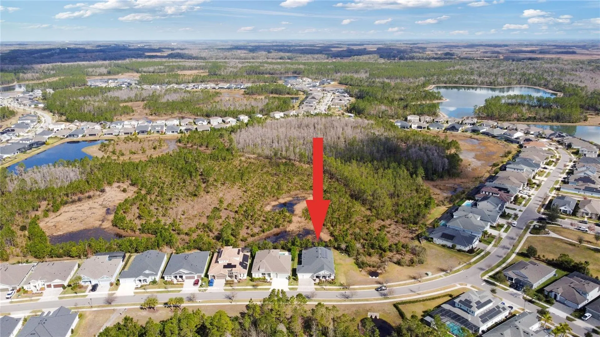 4289 Tour Trace Land O Lakes FL 34638