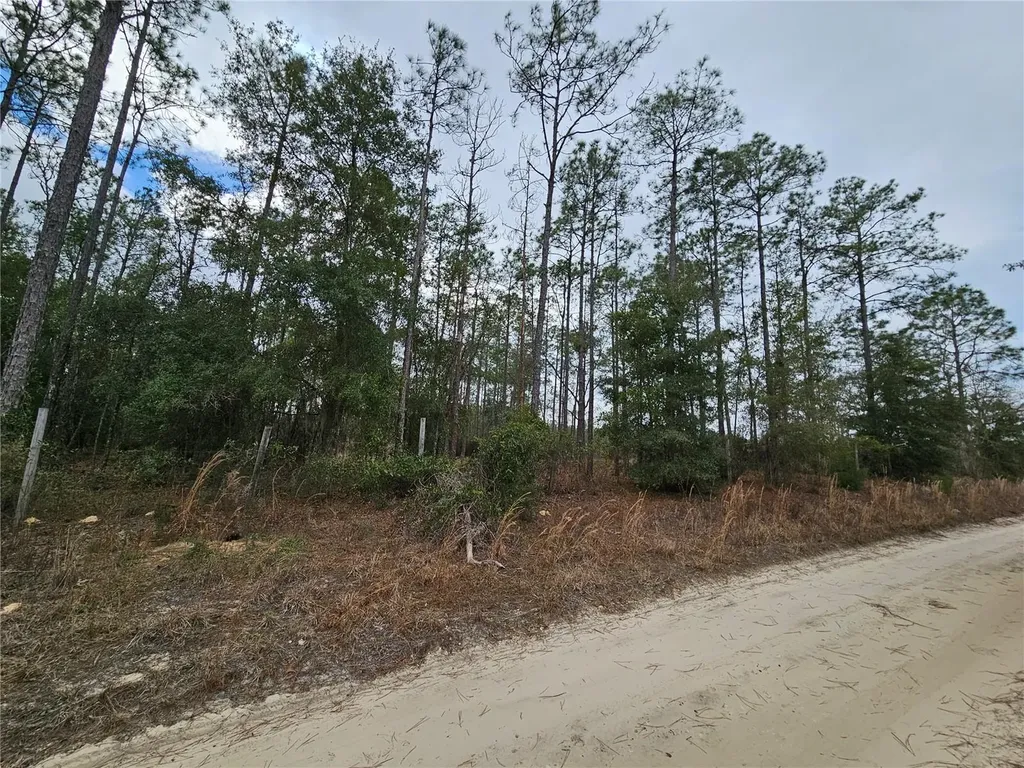 Tbd NE 45th Street Williston FL 32696
