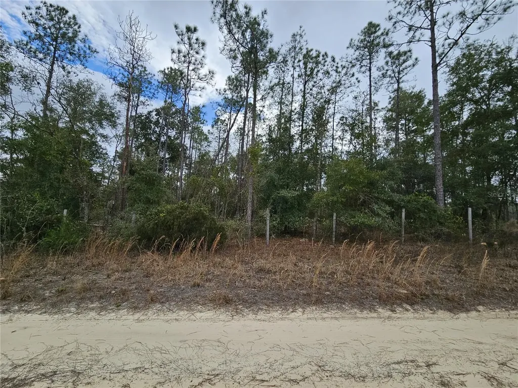 Tbd NE 45th Street Williston FL 32696