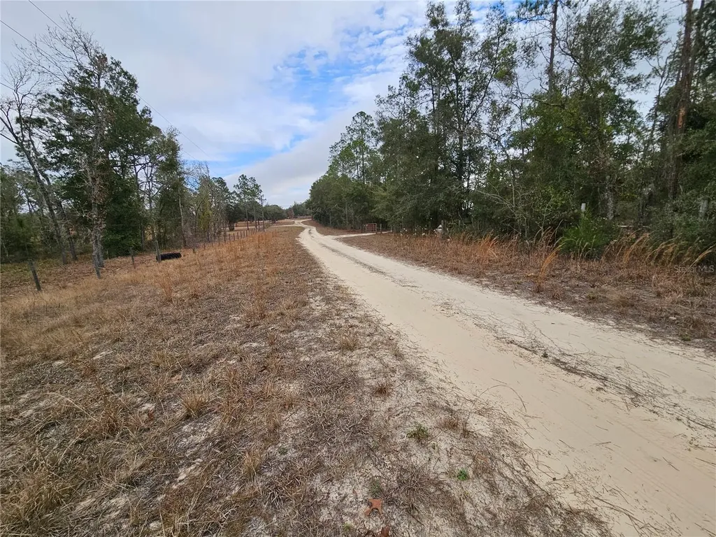 Tbd NE 45th Street Williston FL 32696