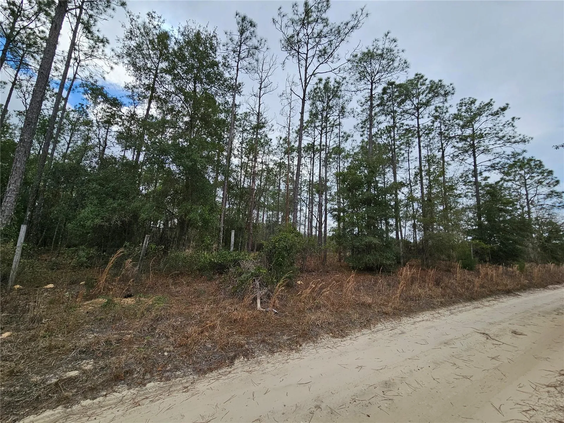 Tbd NE 45th Street Williston FL 32696
