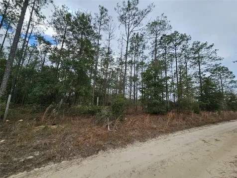 Tbd NE 45th Street Williston FL 32696