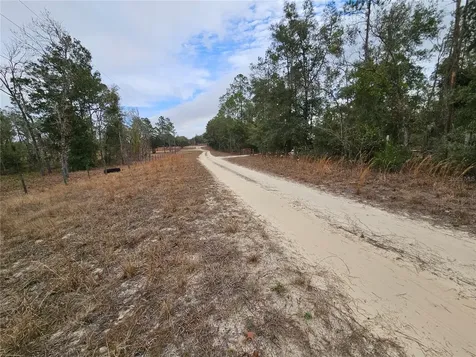 Tbd NE 45th Street Williston FL 32696