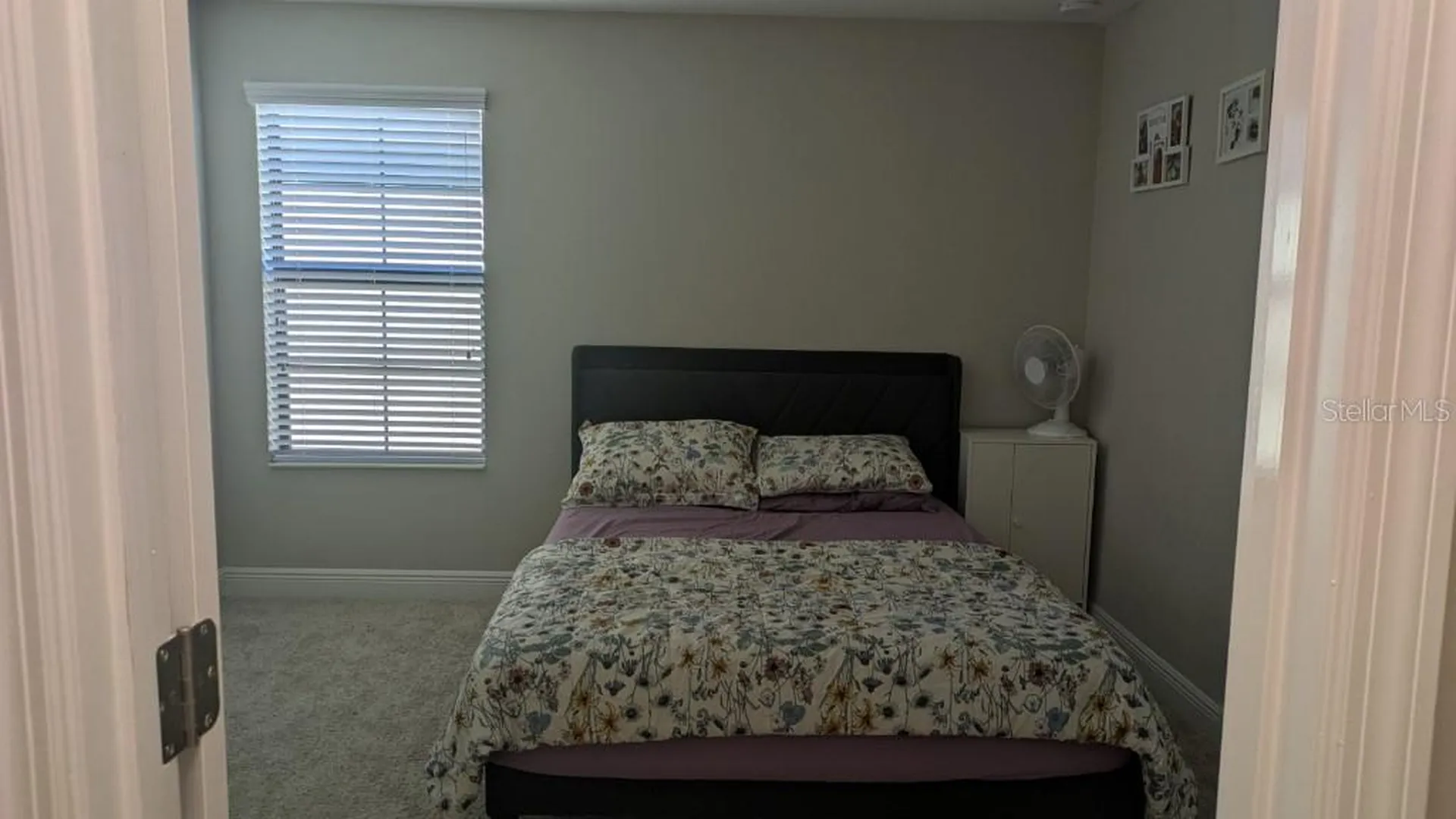 14698 Horse Trot Road Lithia FL 33547