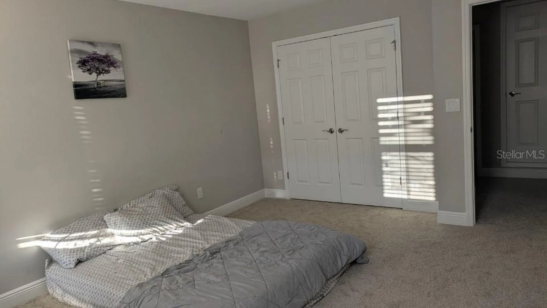 14698 Horse Trot Road Lithia FL 33547