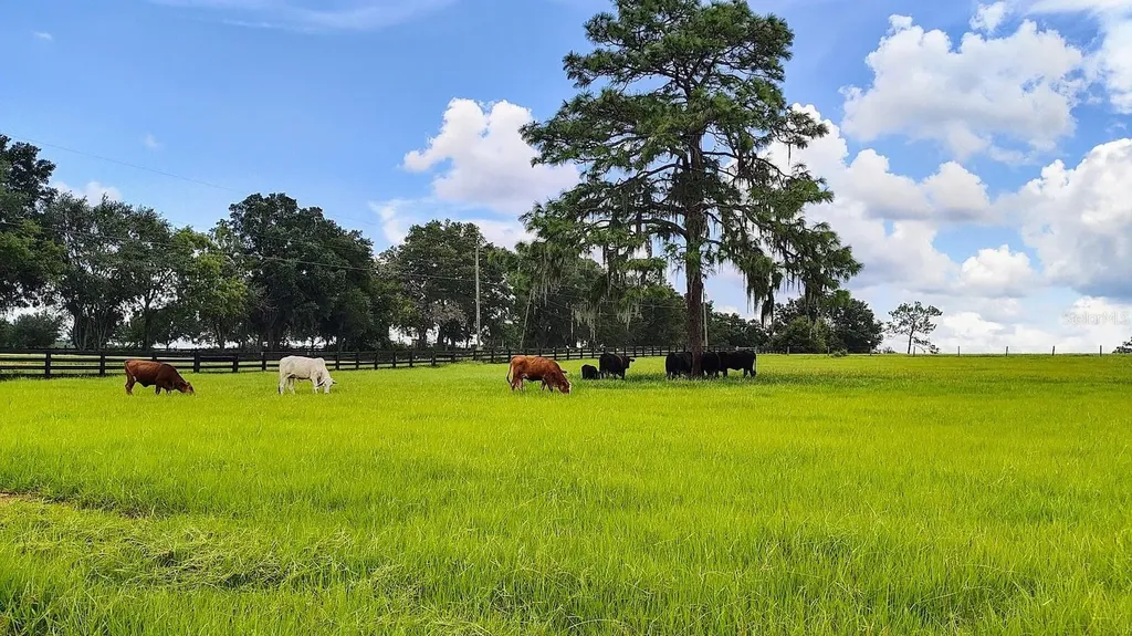 8385 S Pleasant Grove Road Inverness FL 34452