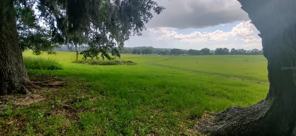 8385 S Pleasant Grove Road Inverness FL 34452
