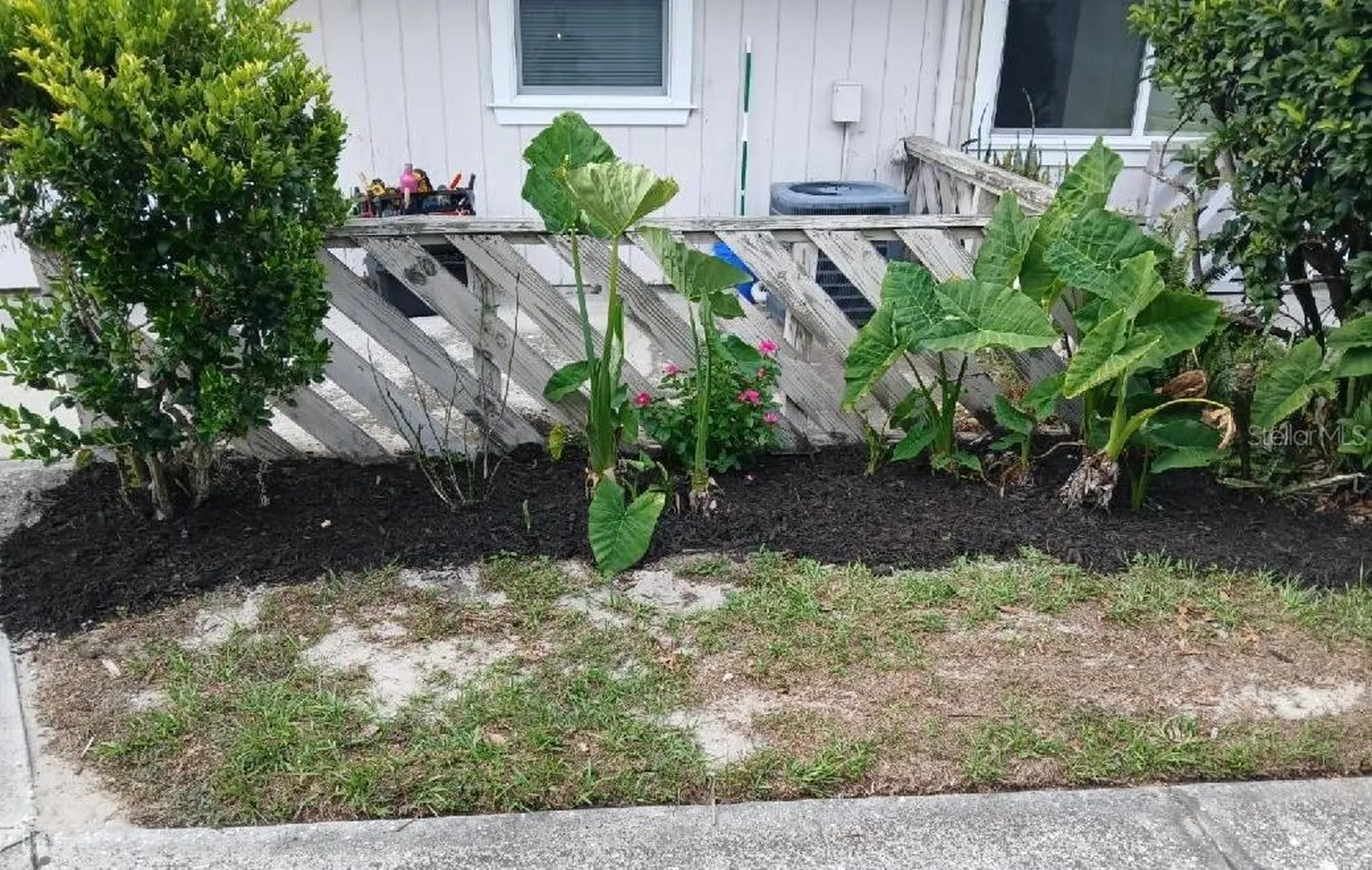 8534 Channelview Circle Tampa FL 33614