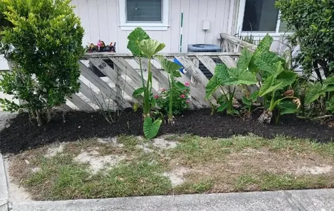 8534 Channelview Circle Tampa FL 33614