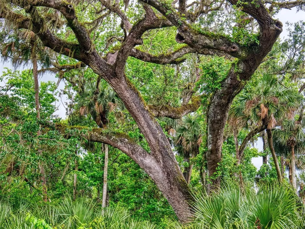 2327 Legacy Lane New Smyrna Beach FL 32168