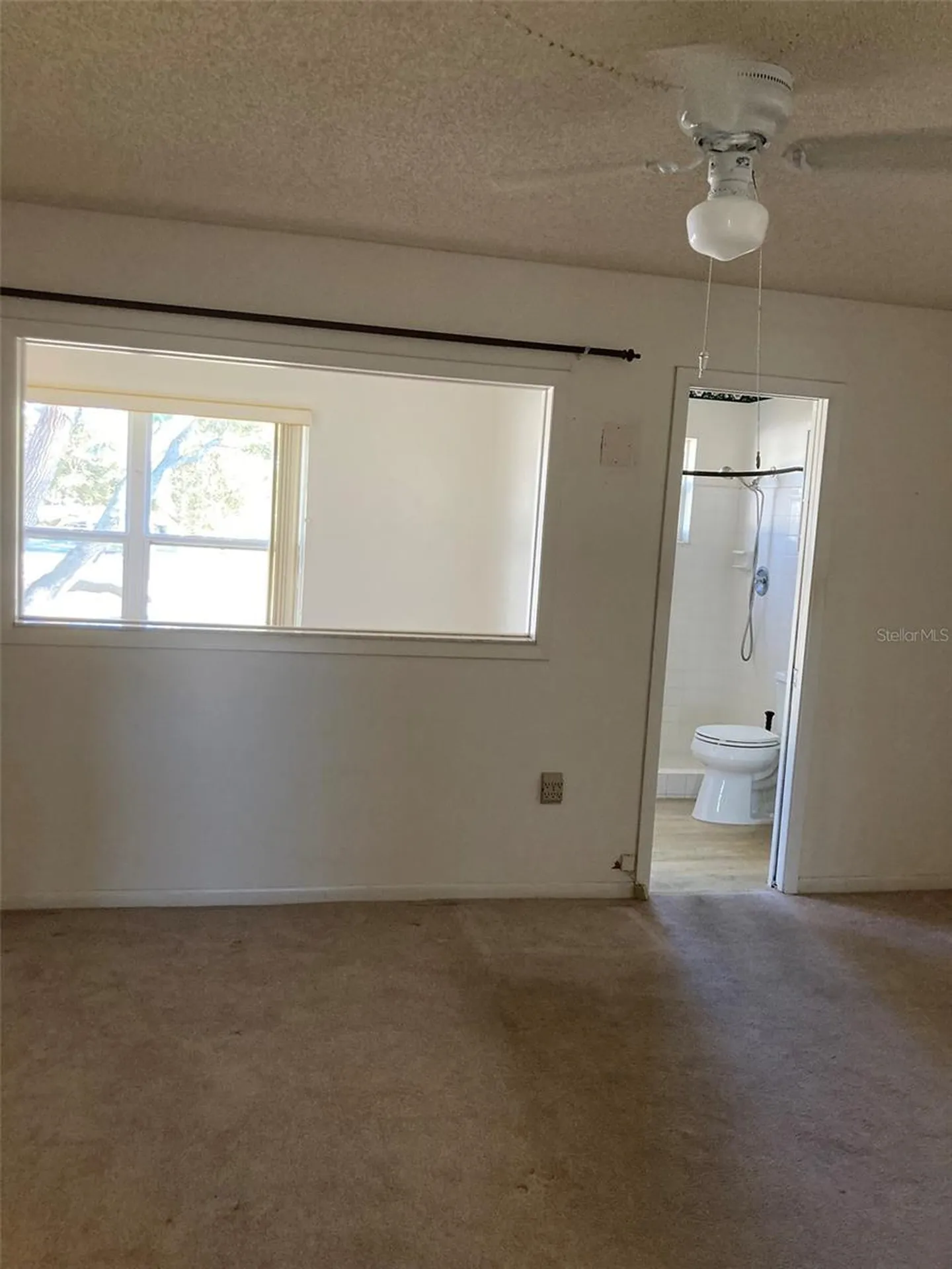 5725 80th Street N St Petersburg FL 33709