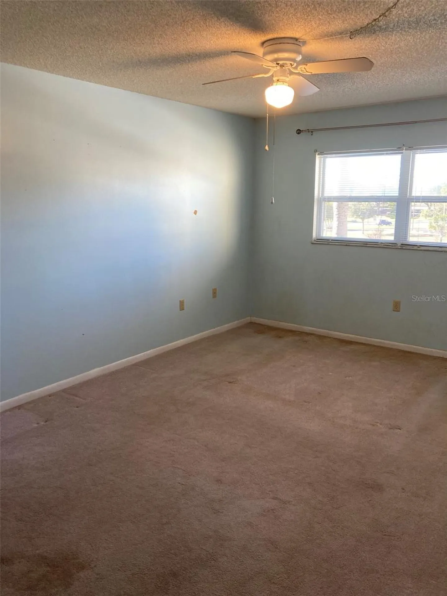 5725 80th Street N St Petersburg FL 33709
